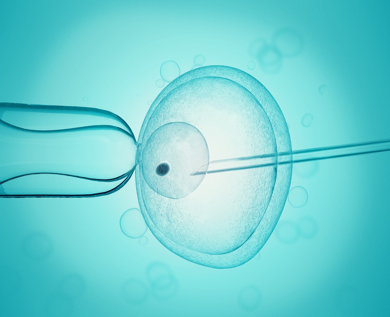 Procreazione medicalmente assistita, dettaglio di laboratorio